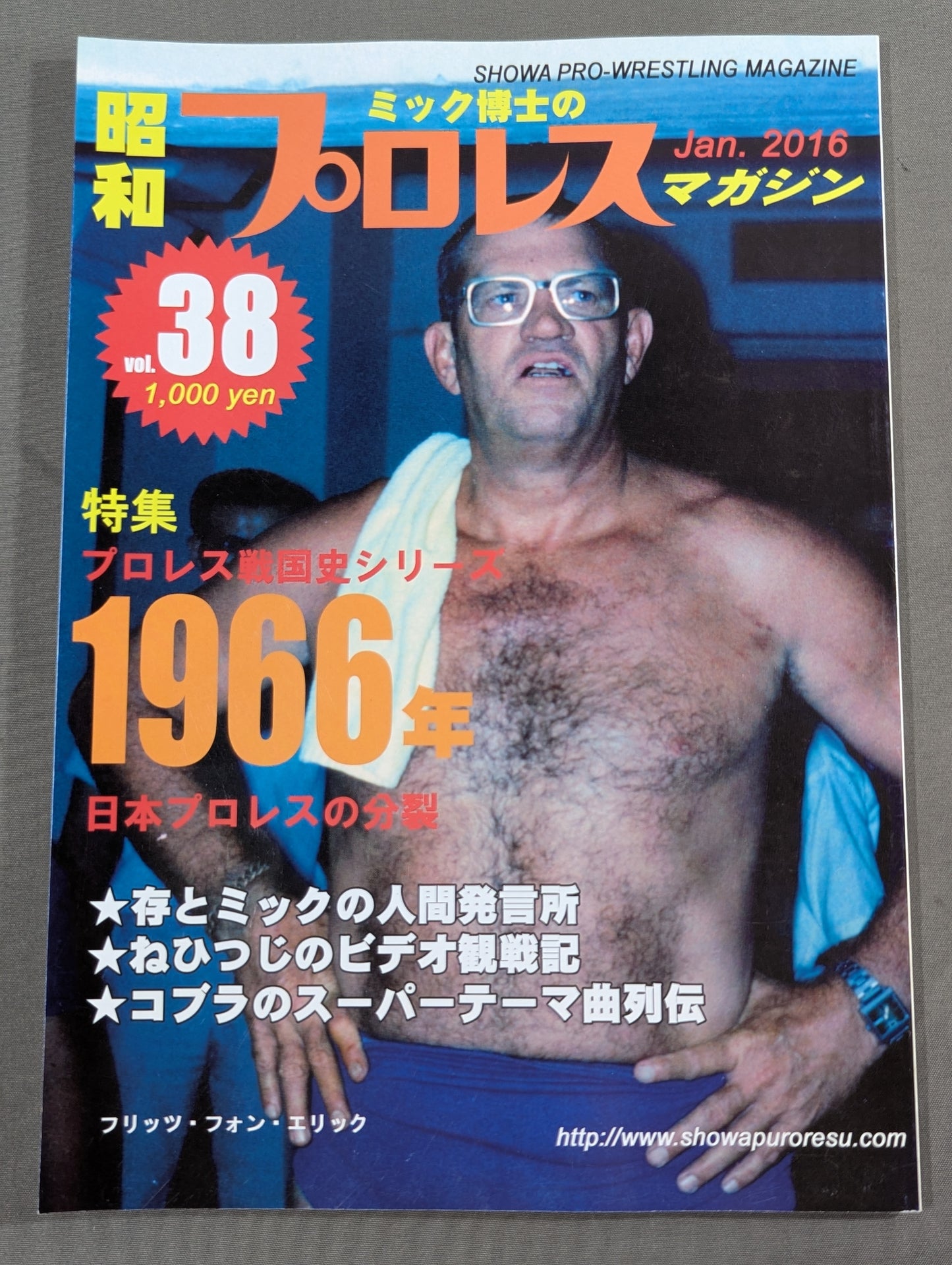 Dr. Mick's Showa Pro Wrestling Magazine No. ★ 38 Special Feature Pro Wrestling Sengoku Shi 1966 ★
