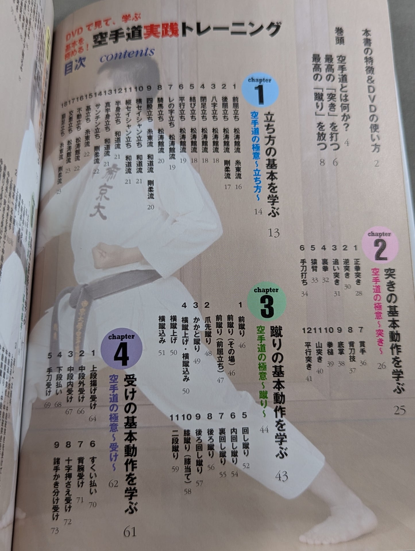 【DVD付】DVDで見て学ぶ 基本を極める! 空手道 実践トレーニング
