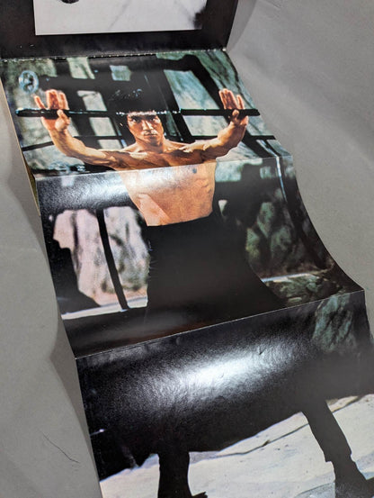 決定版ブルース・リー ヤングアイドルナウ臨時増刊号