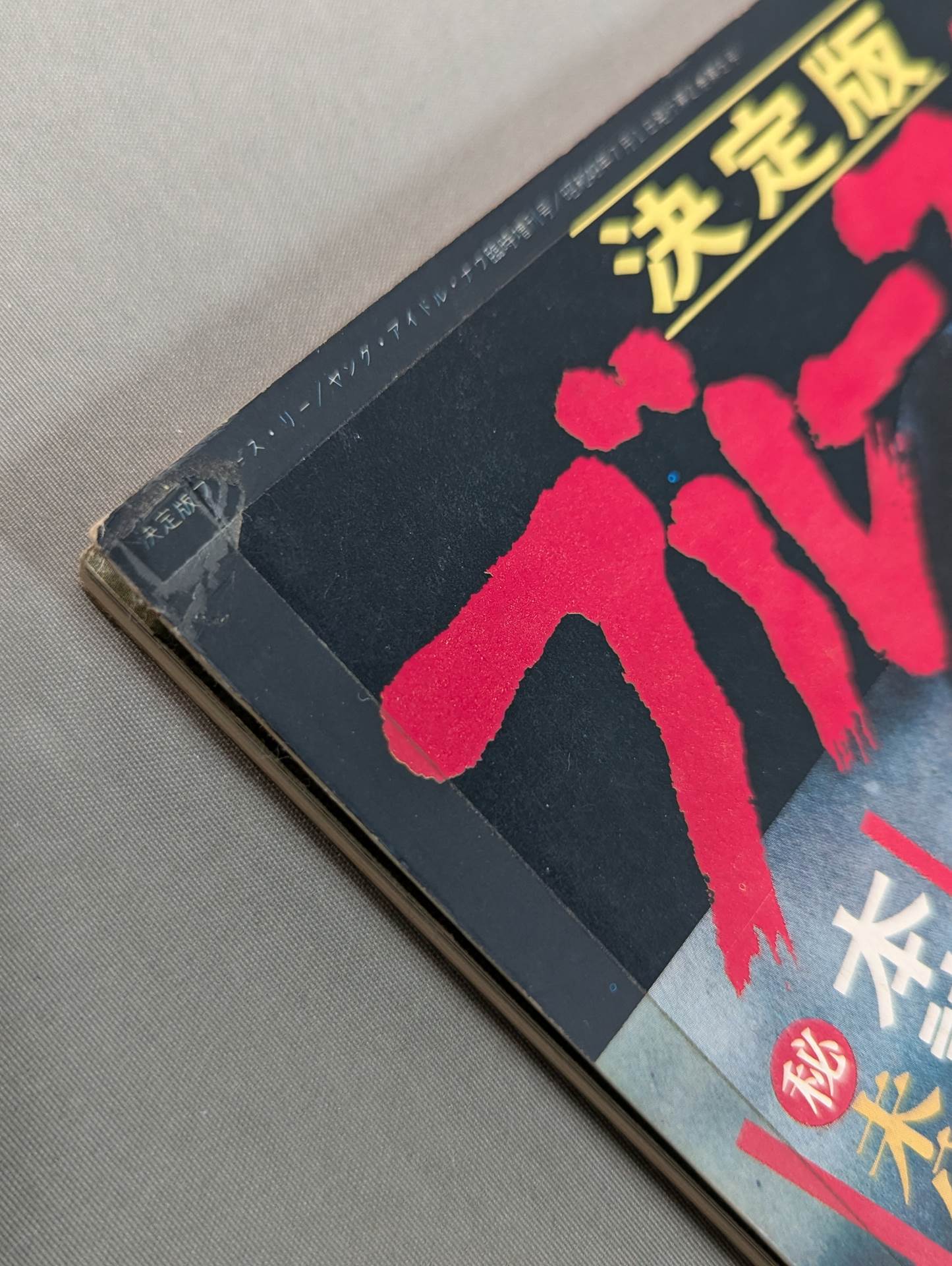 決定版ブルース・リー ヤングアイドルナウ臨時増刊号