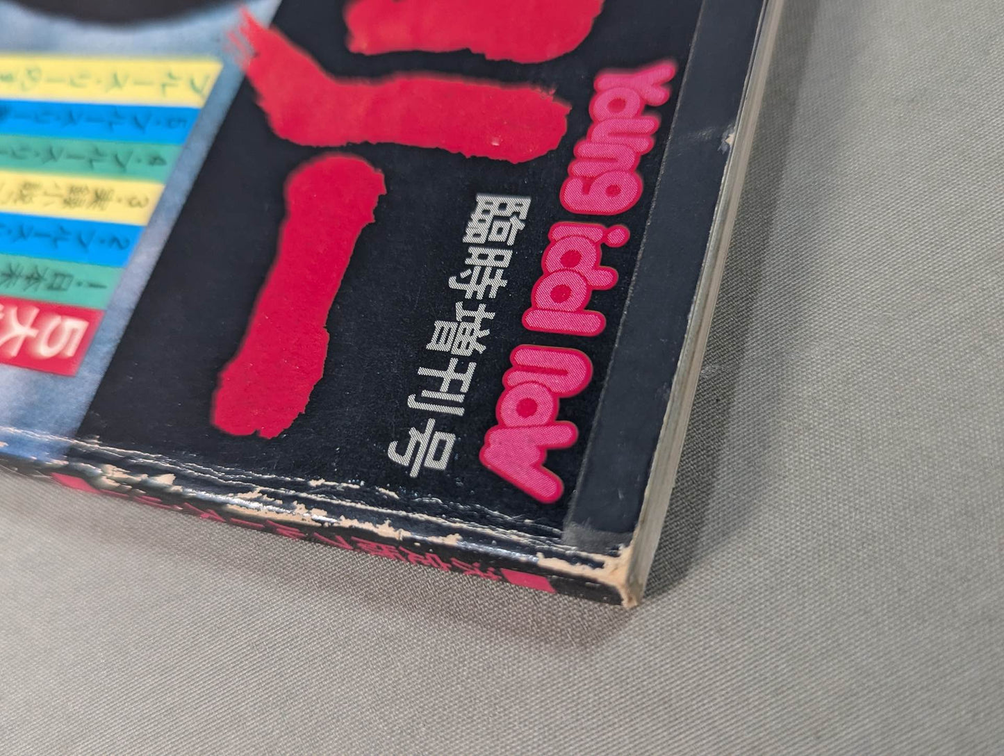 決定版ブルース・リー ヤングアイドルナウ臨時増刊号