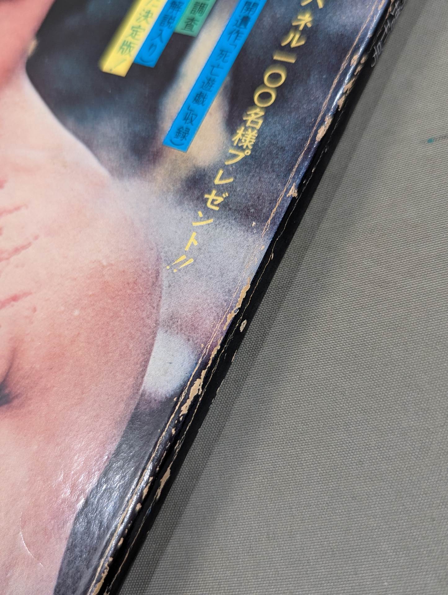 決定版ブルース・リー ヤングアイドルナウ臨時増刊号