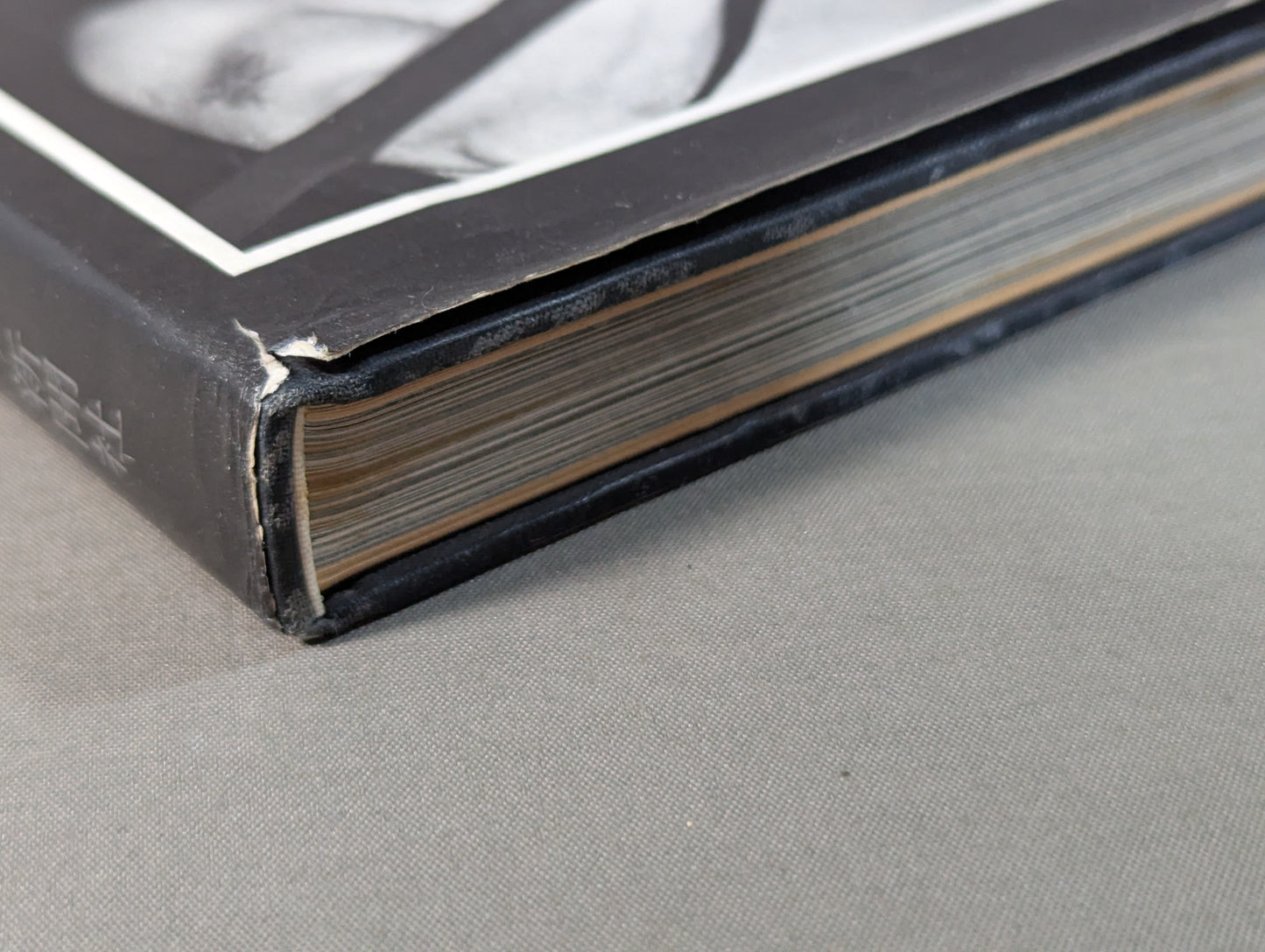 プロレスの鬼 力道山写真集