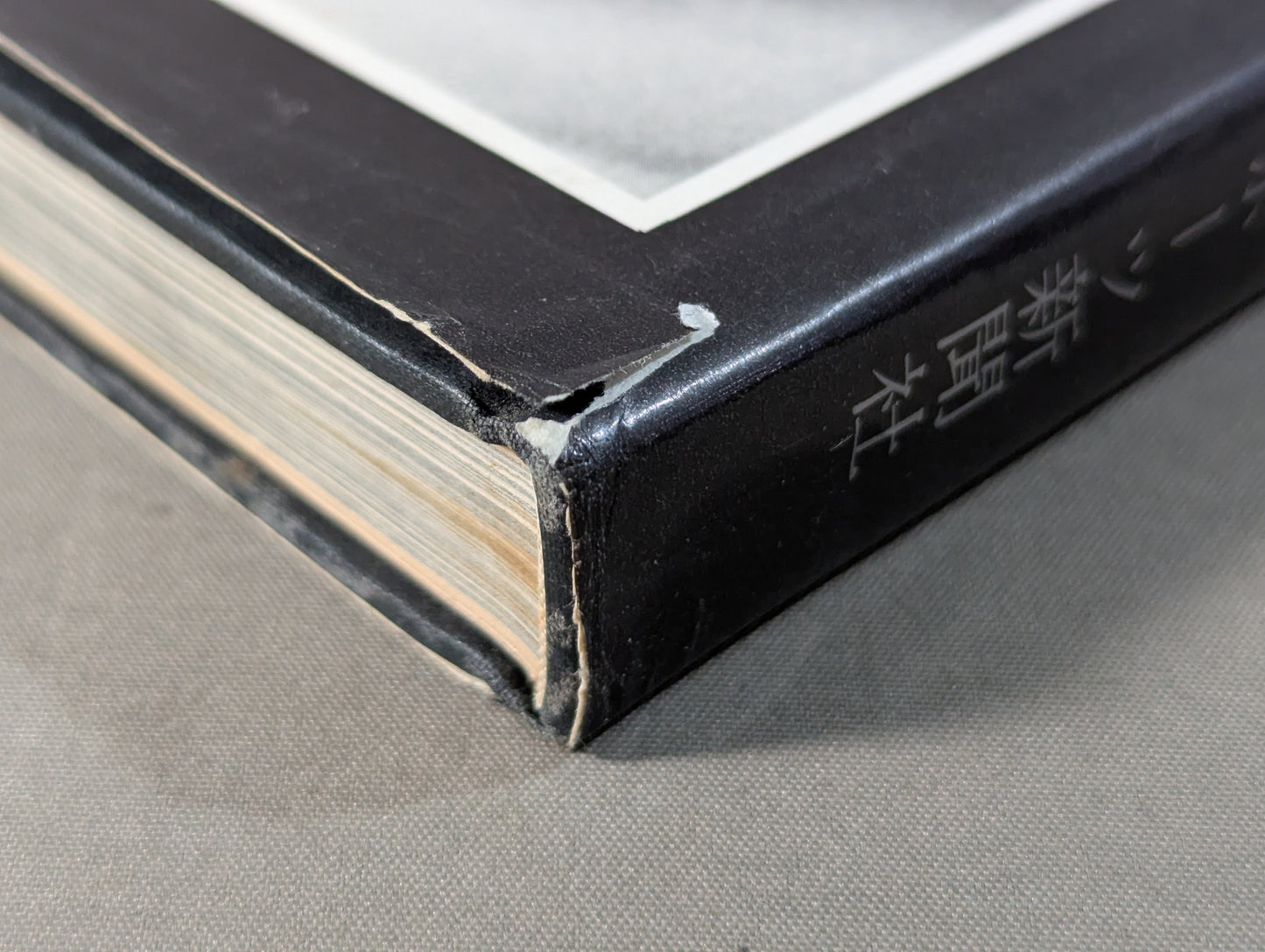 プロレスの鬼 力道山写真集