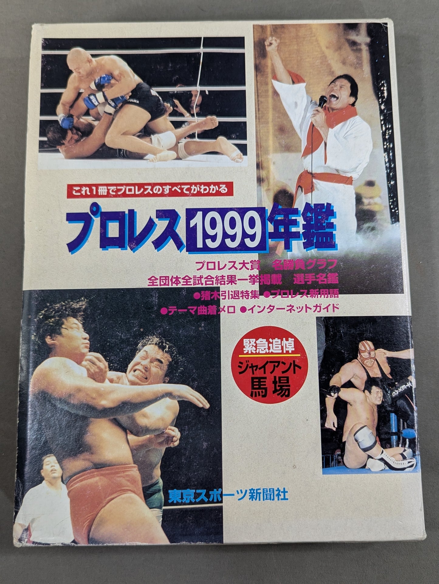 Pro Wrestling  1999 Yearbook