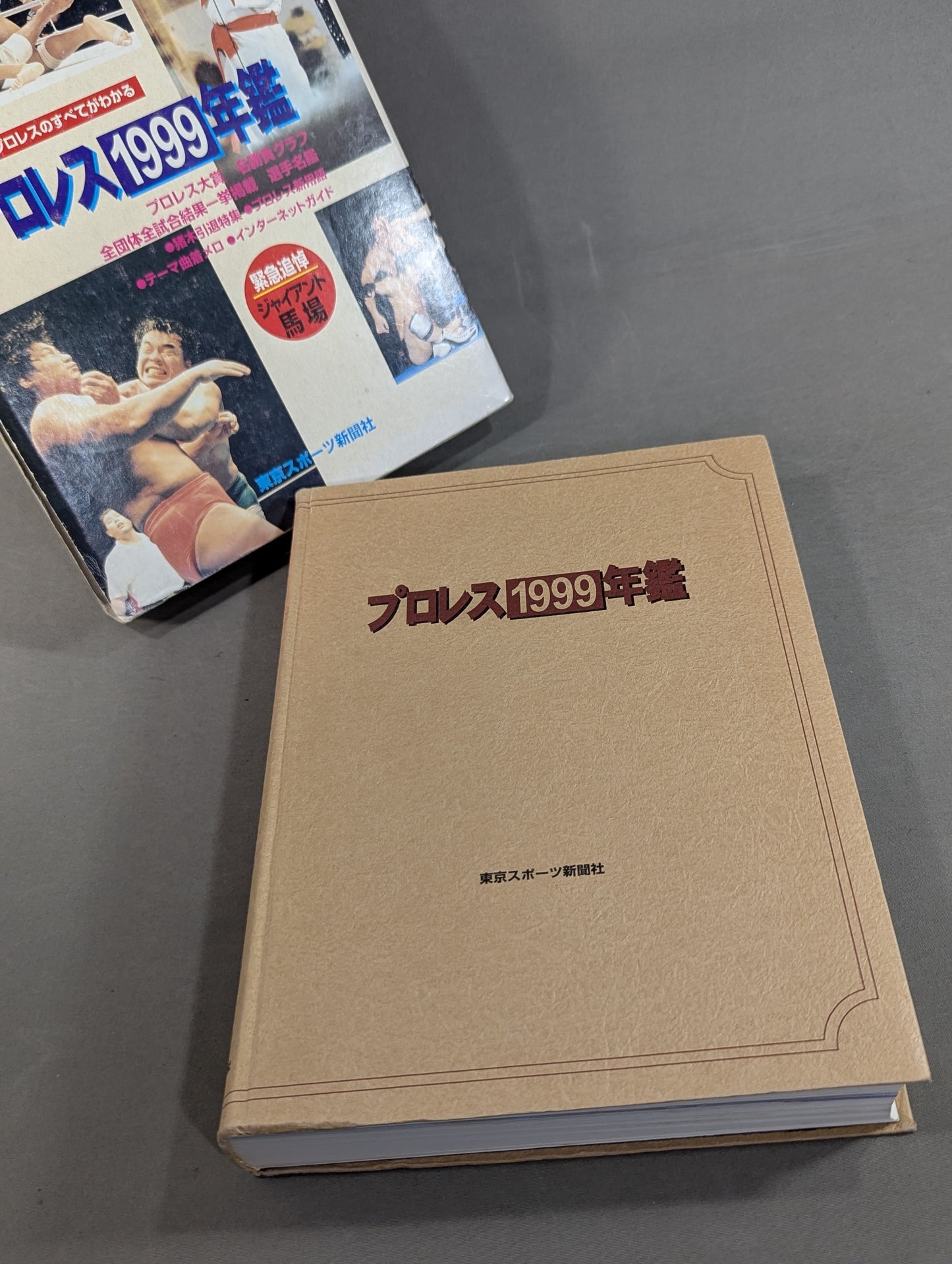 Pro Wrestling  1999 Yearbook