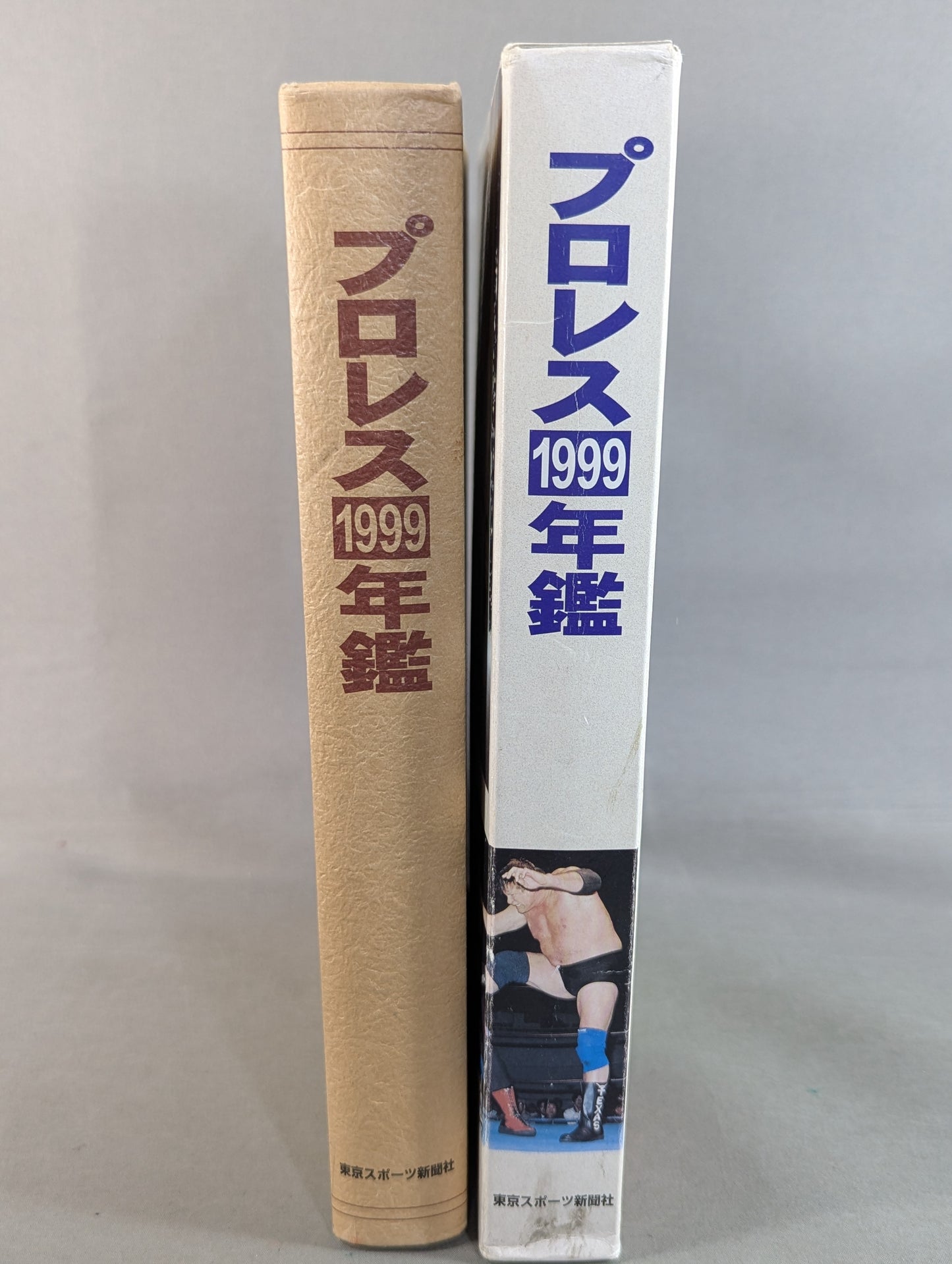Pro Wrestling  1999 Yearbook
