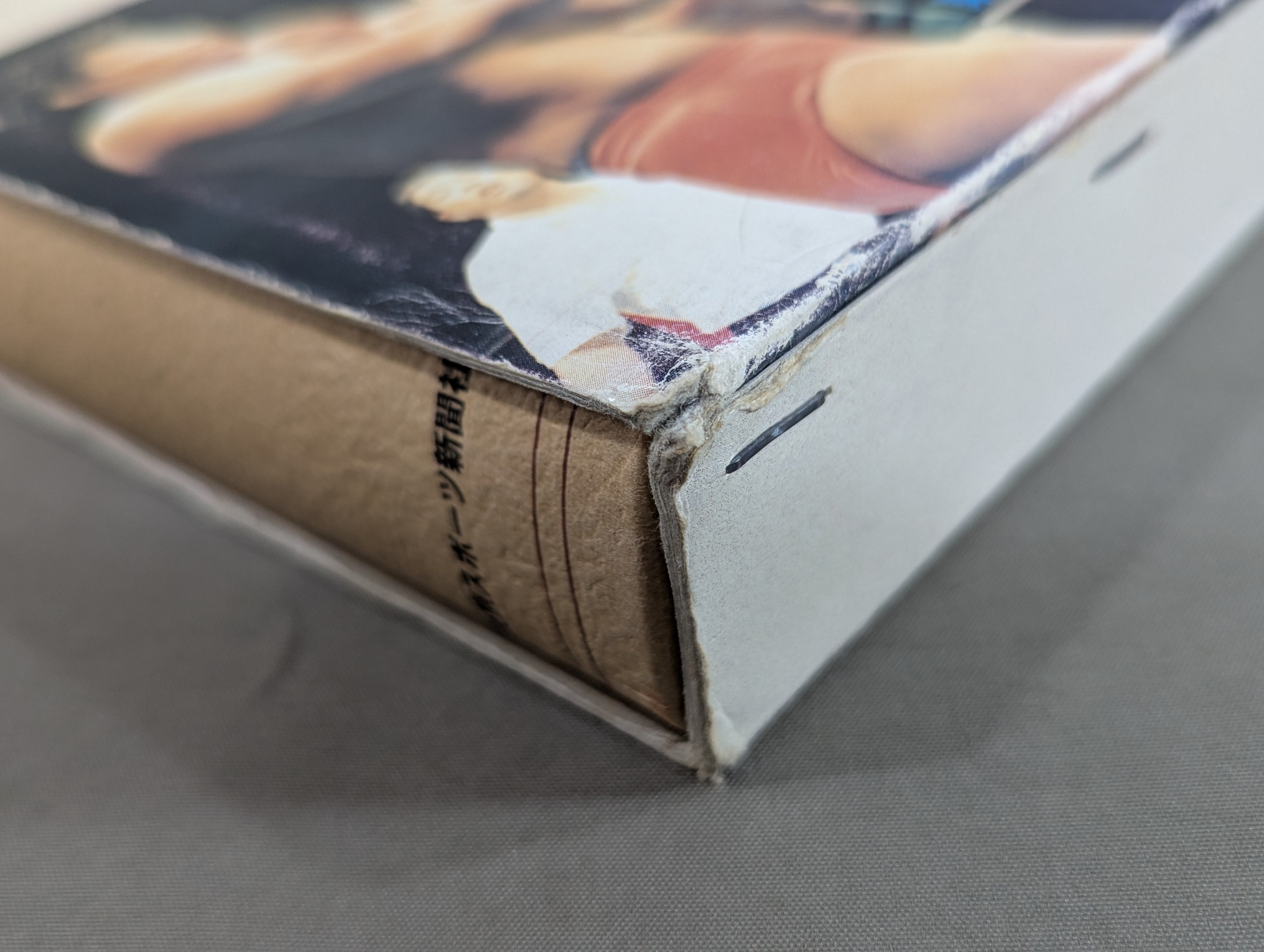 プロレス1999年鑑 – 闘道館