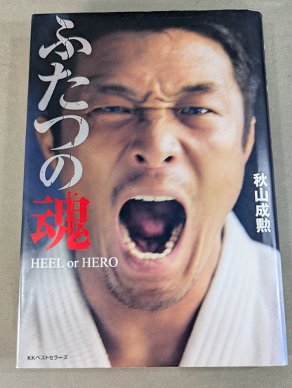Two souls: HEEL or HERO