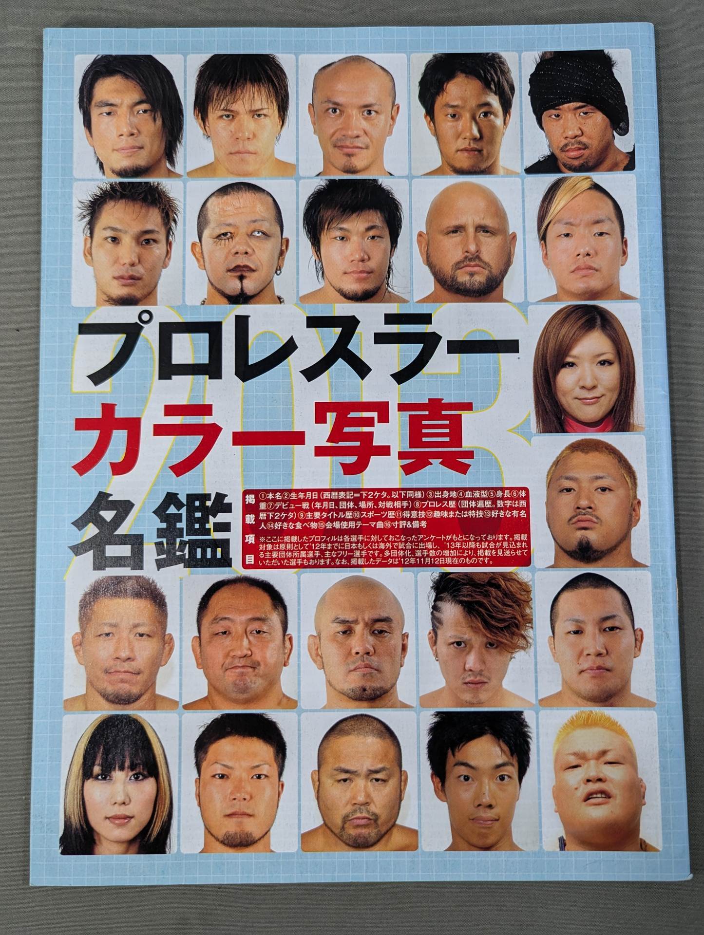 プロレスラー カラー写真名鑑 2013