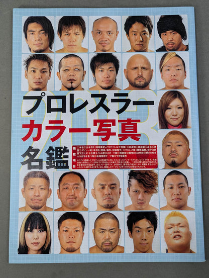 プロレスラー カラー写真名鑑 2013