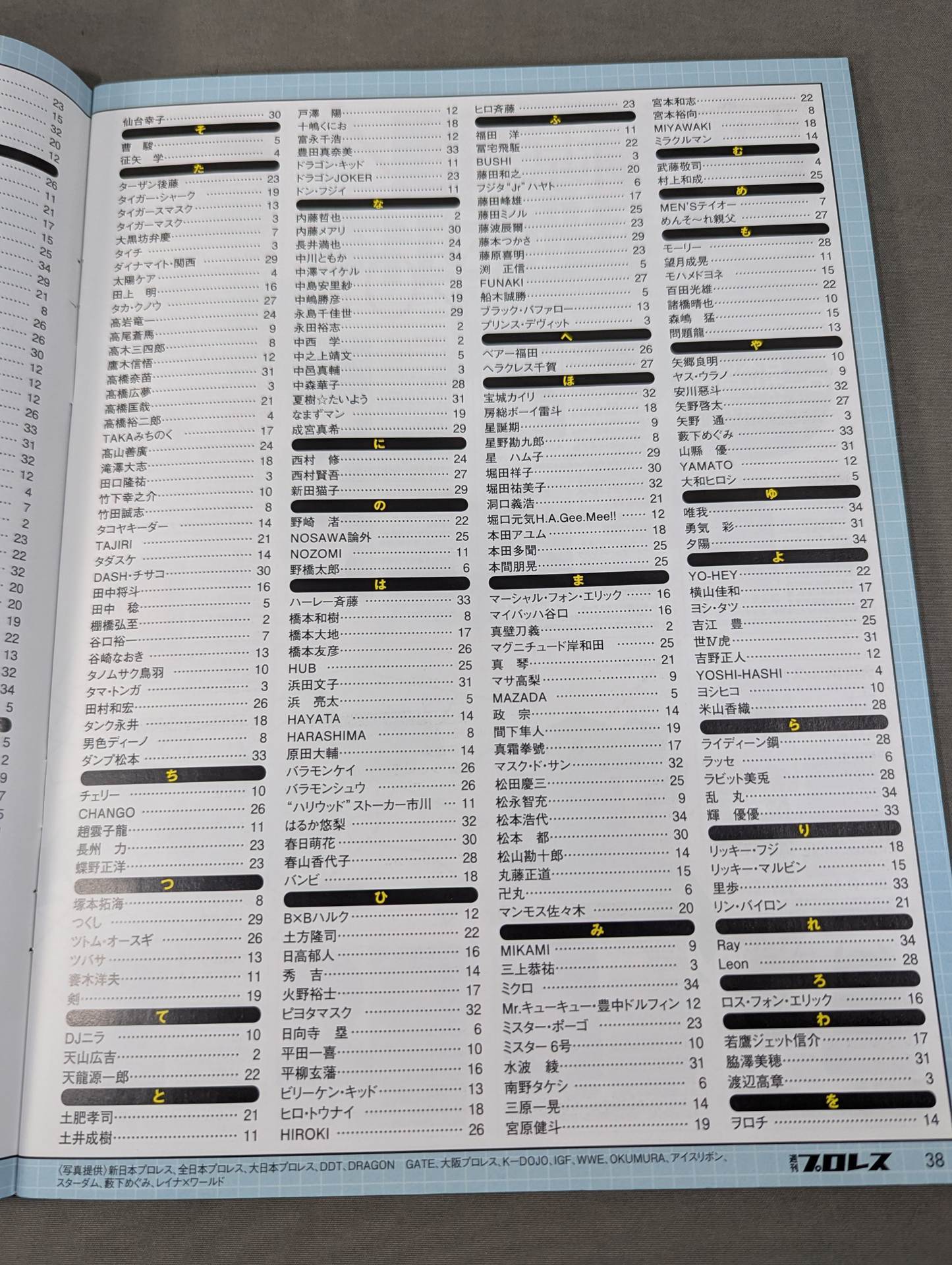 プロレスラー カラー写真名鑑 2013