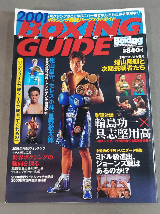 2001 Boxing Perfect Guide