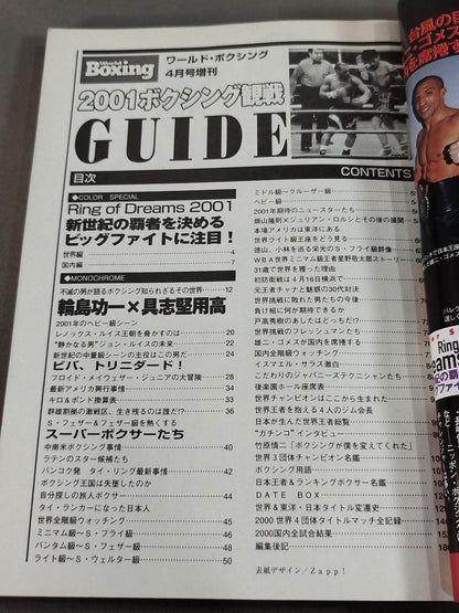 2001 Boxing Perfect Guide