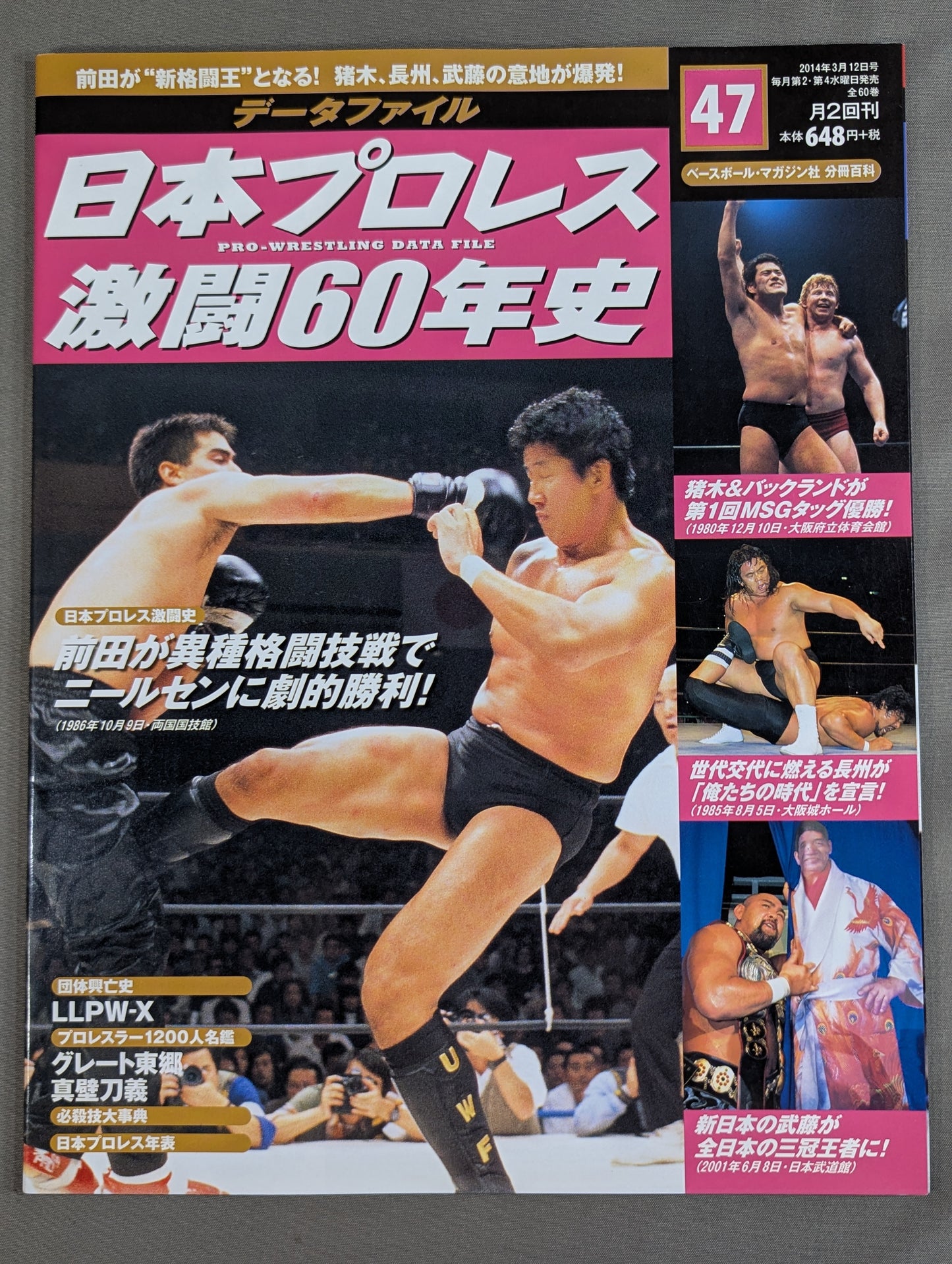 Japan Pro Wrestling 60 Years of Fierce Battle (47)