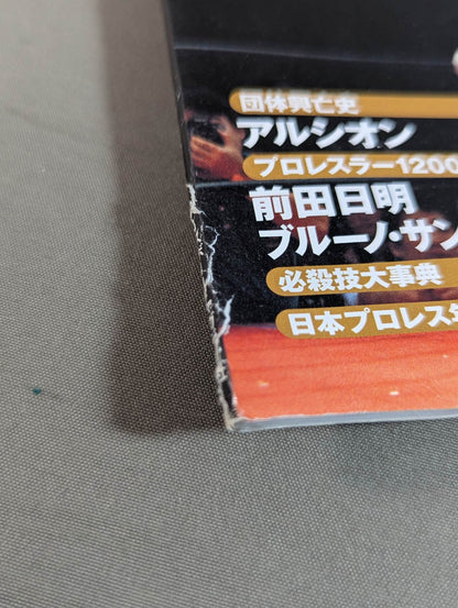 日本プロレス激闘60年史 (20)