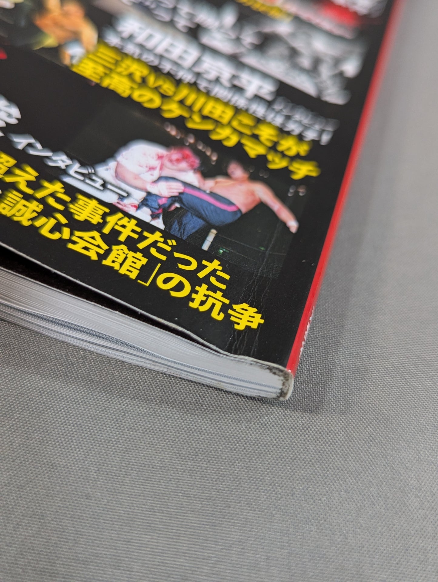 Series Paradoxical Pro Wrestling  Vol.20 Complete Testimony Pro Wrestling  "Battle of the Dead" Blood Code