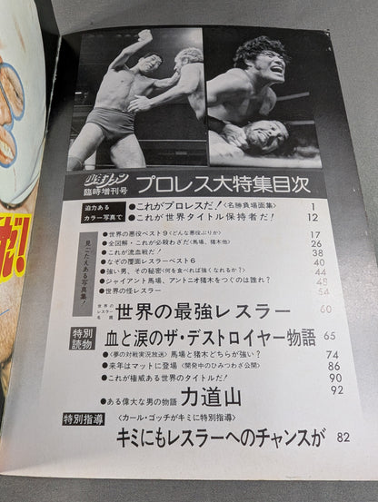 少年ファン臨時増刊号  プロレス大特集!