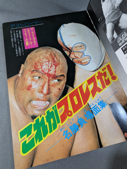 少年ファン臨時増刊号  プロレス大特集!