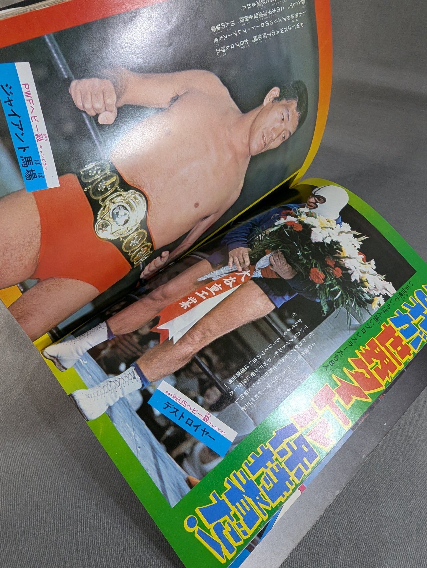 少年ファン臨時増刊号  プロレス大特集!