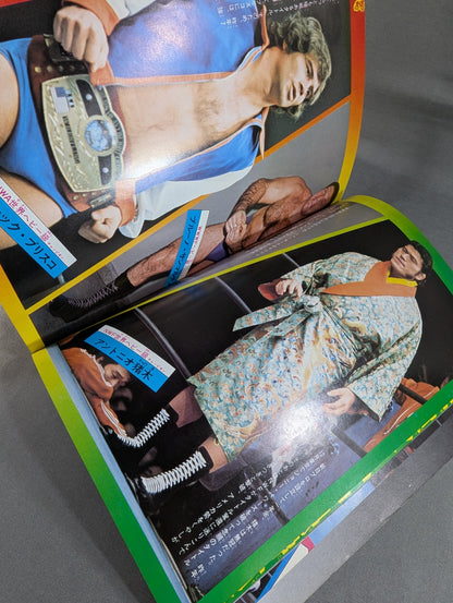 少年ファン臨時増刊号  プロレス大特集!