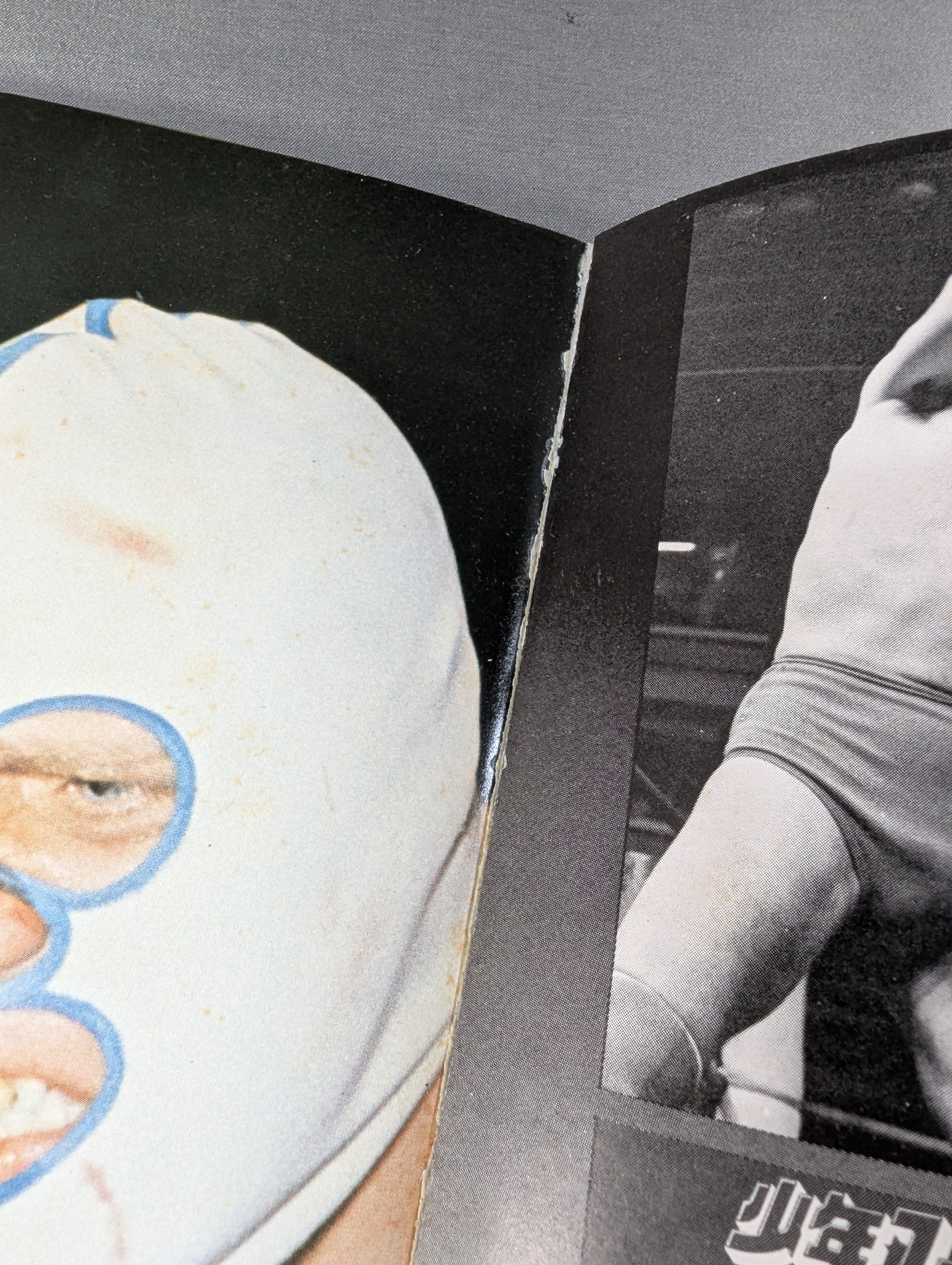 少年ファン臨時増刊号 プロレス大特集! – 闘道館