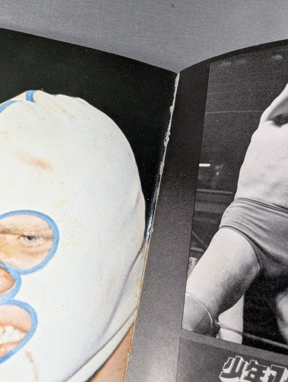 少年ファン臨時増刊号  プロレス大特集!