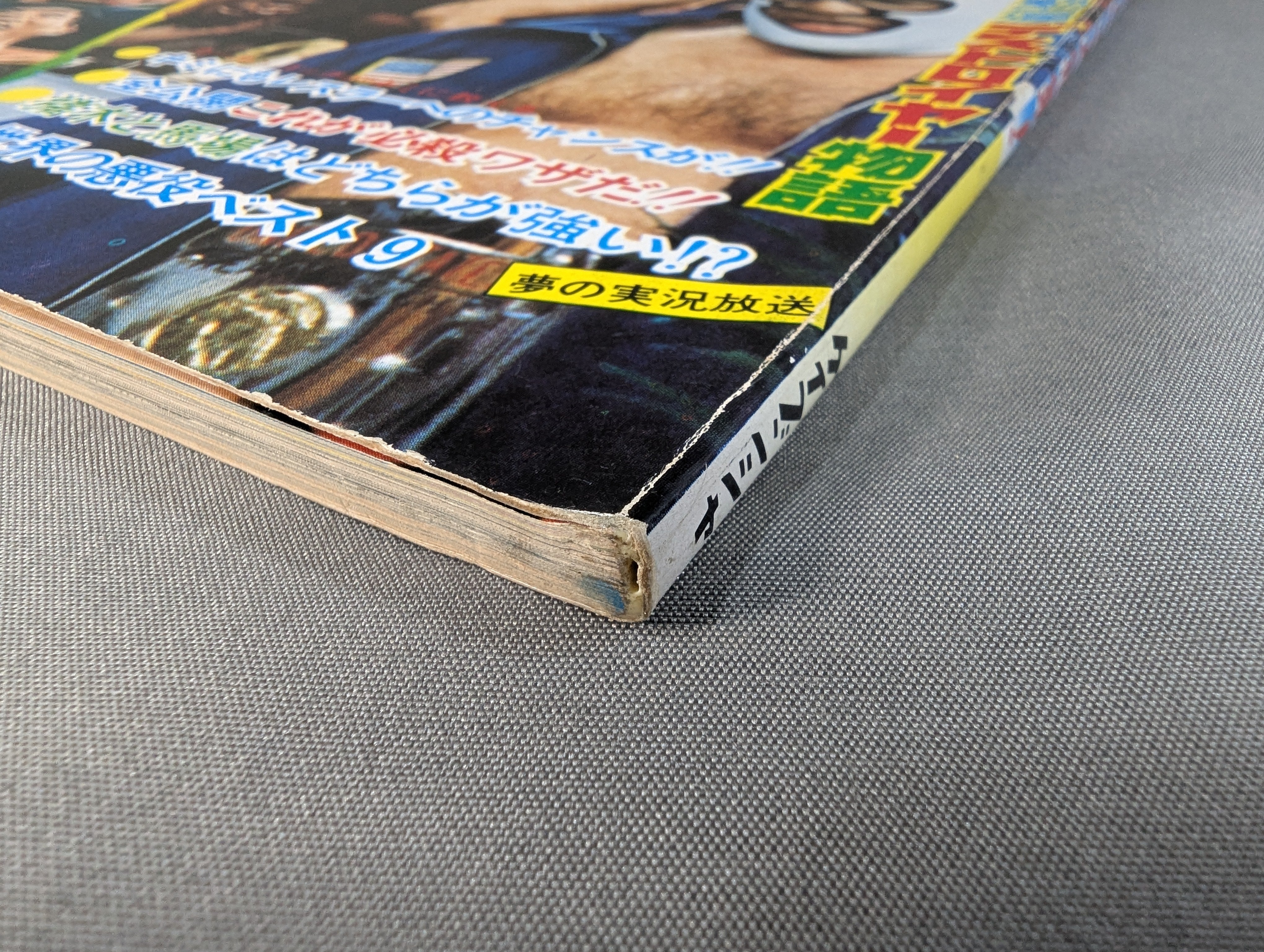 少年ファン臨時増刊号 プロレス大特集! – 闘道館