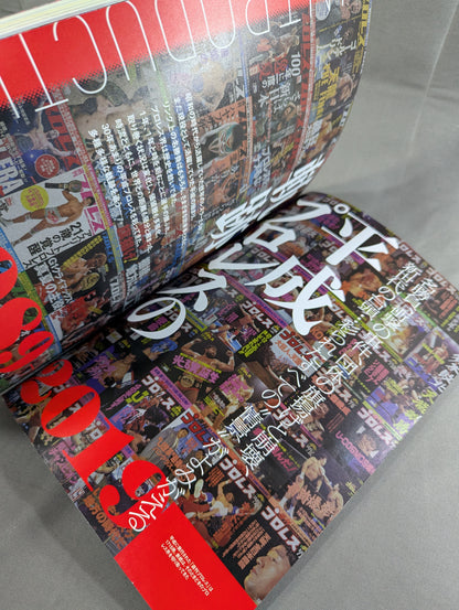 Heisei Sports History Permanent Preservation Edition Pro Wrestling  Edition