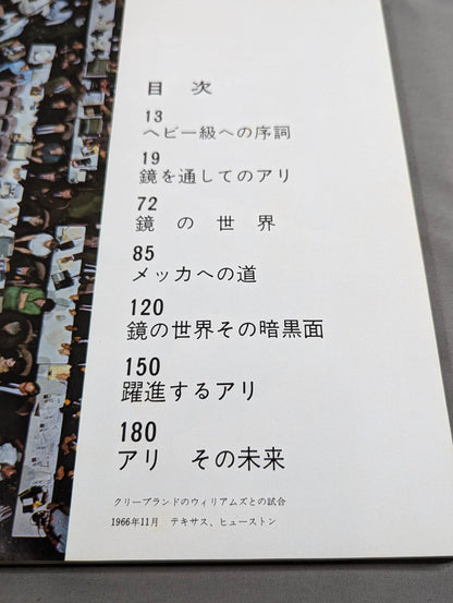 王者アリ