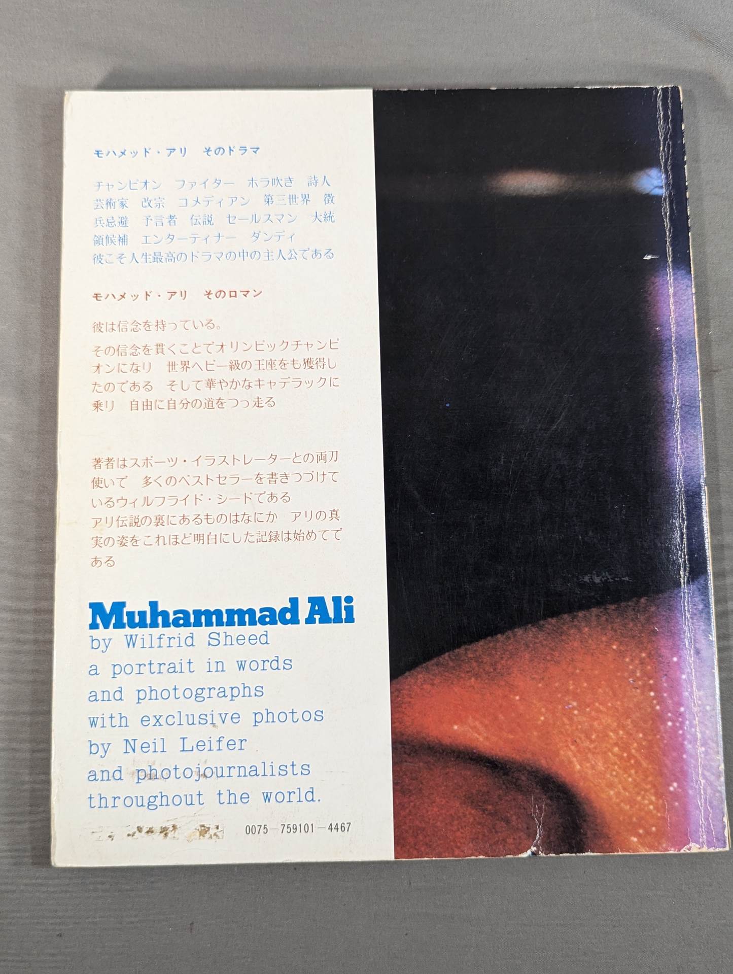 王者アリ