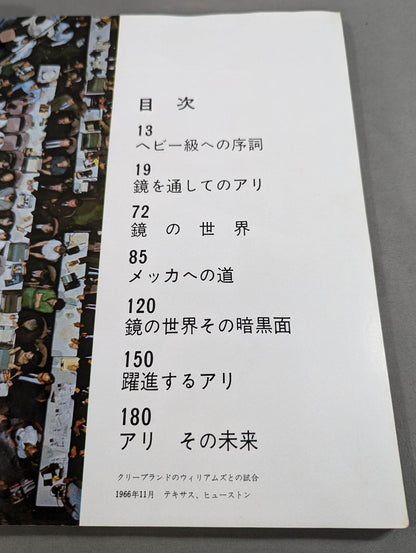 王者アリ