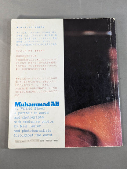王者アリ