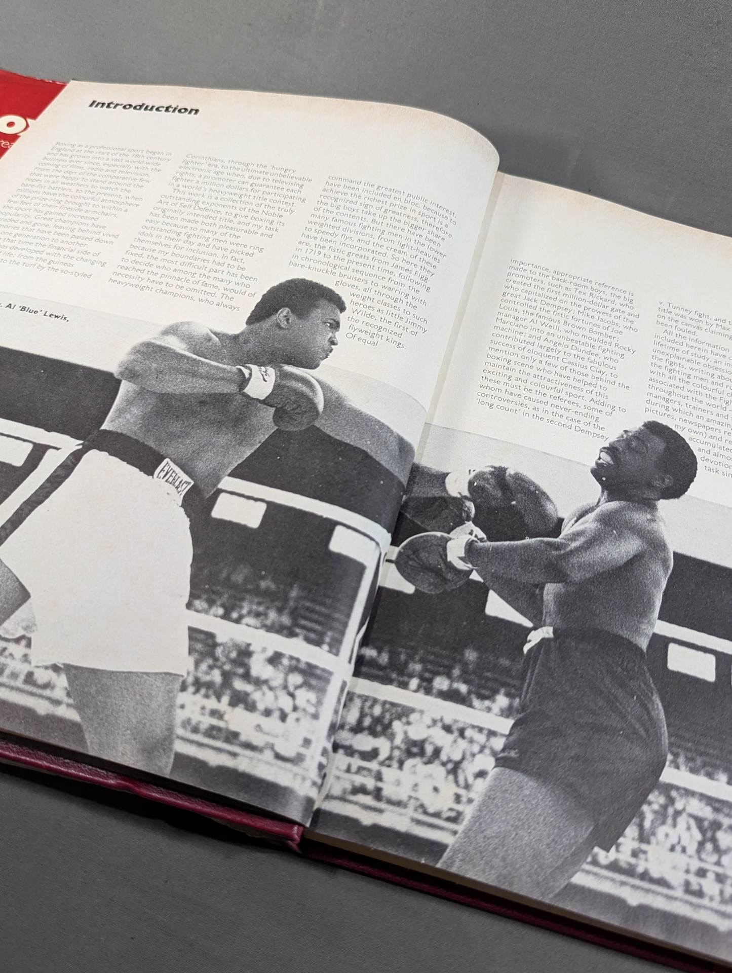 Boxing : The Great Champions