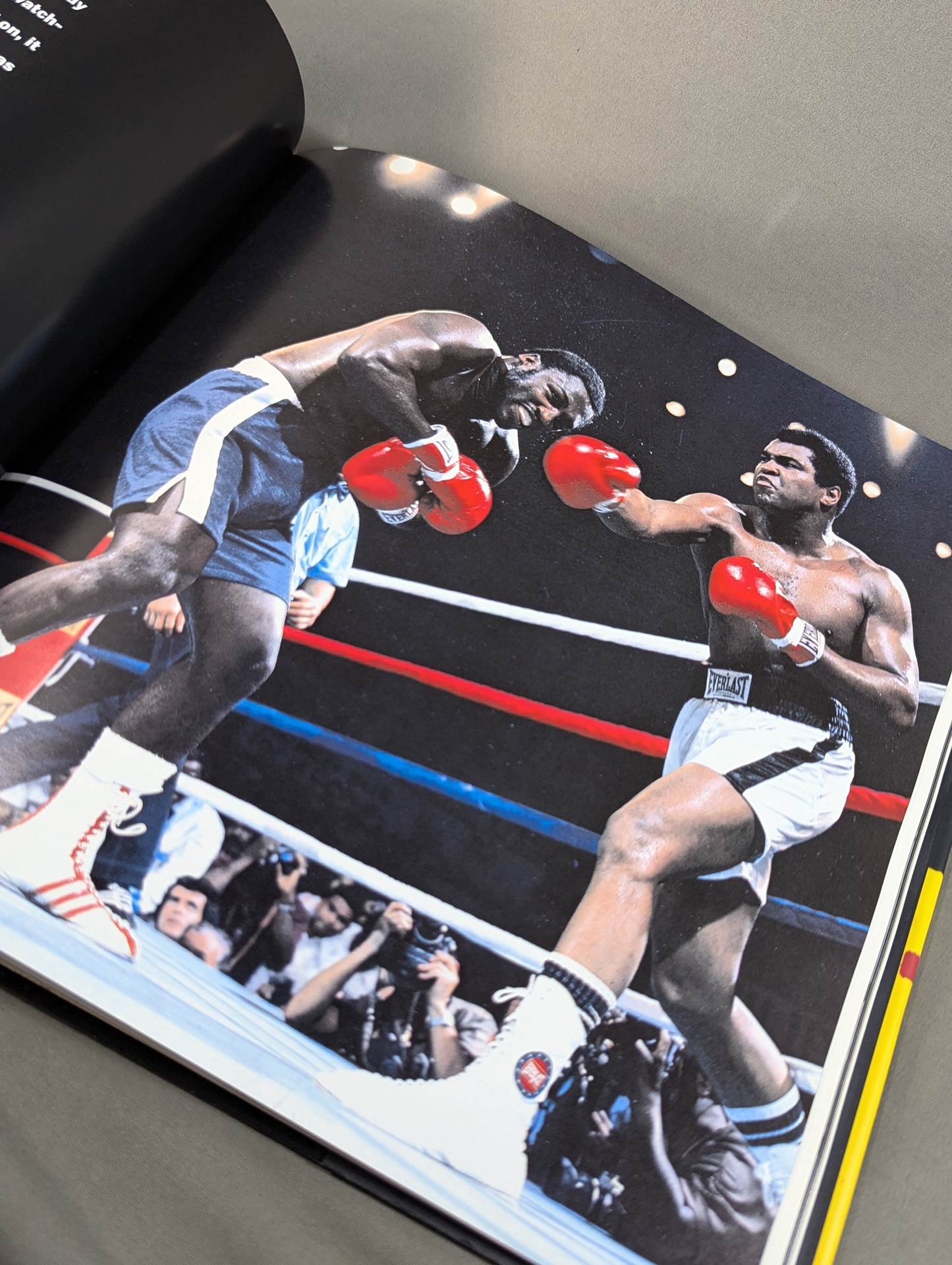 MUHAMMAD ALI：RINGSIDE