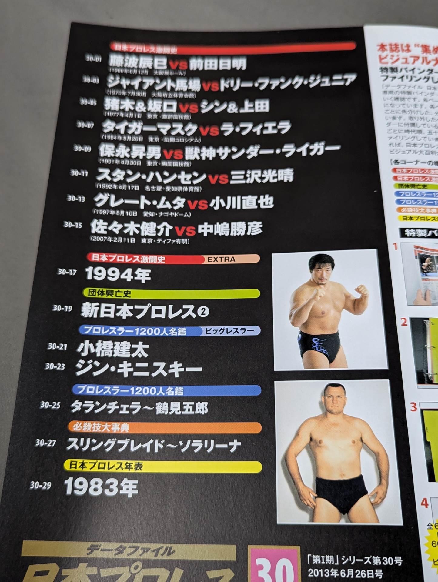 日本プロレス激闘60年史 (30)
