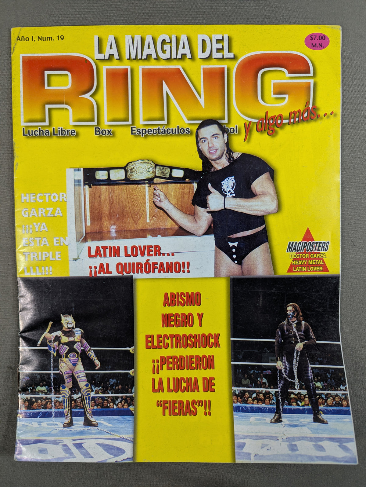 LA MAGIA DEL RING No.19