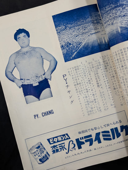 All Japan Pro Wrestling Association Pro Wrestling Challenge Grand Match