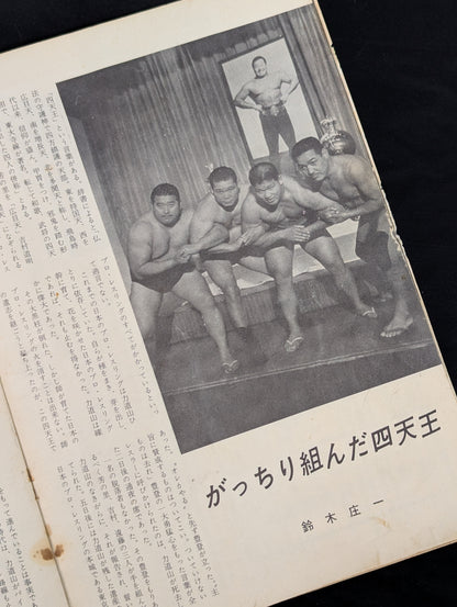 64 Association New Formation Progress Commemoration (Pro Wrestling International Tournament - Spring Campaign)