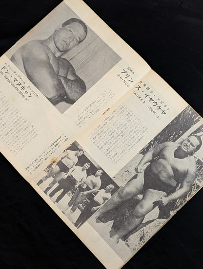 64 Association New Formation Progress Commemoration (Pro Wrestling International Tournament - Spring Campaign)
