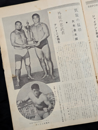 64 Association New Formation Progress Commemoration (Pro Wrestling International Tournament - Spring Campaign)