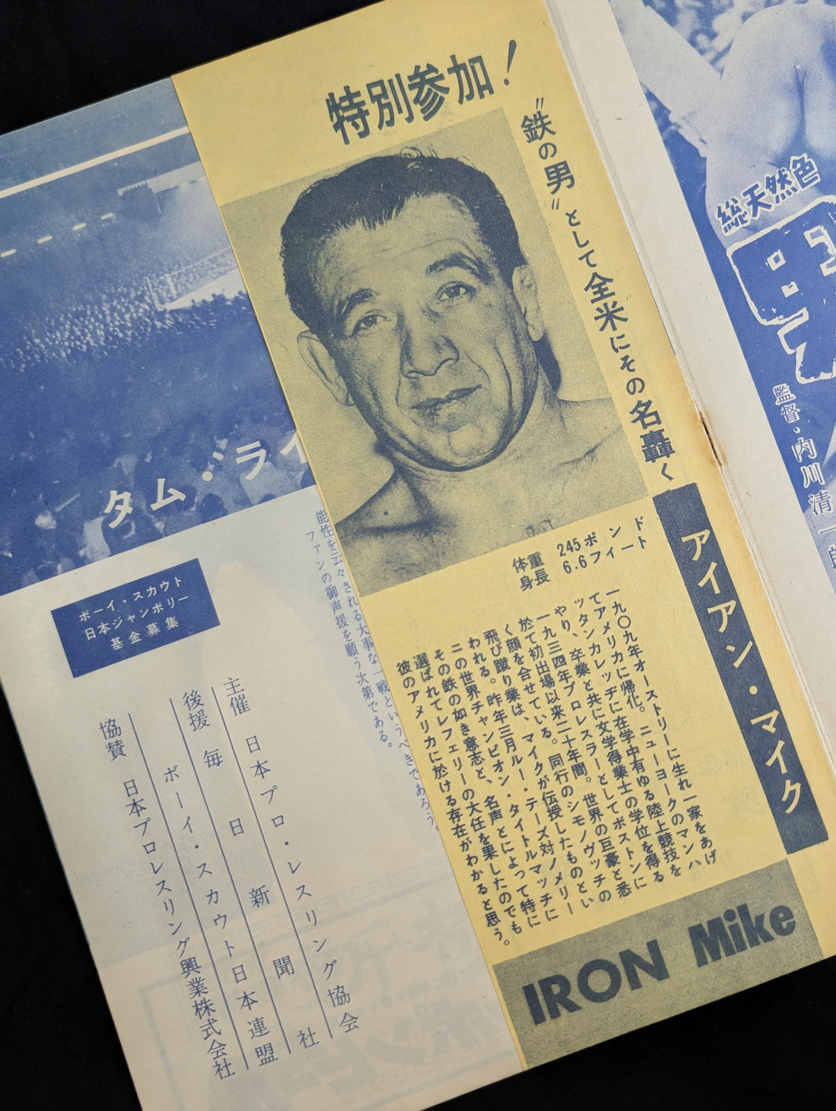 ★ Rikidozan vs. Tam Rice ★ Singles World fighters title challenger decision match