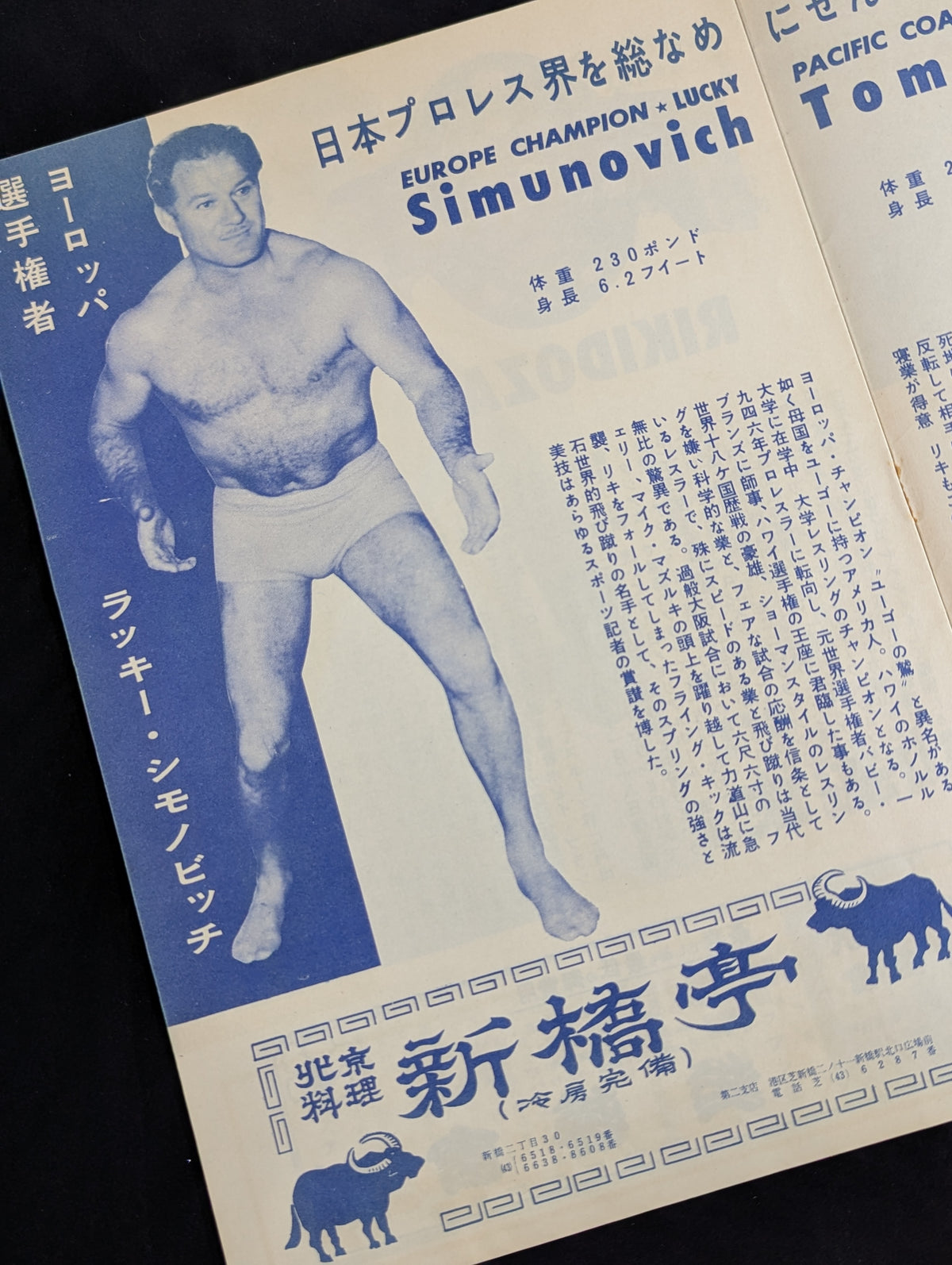 ★ Rikidozan vs. Tam Rice ★ Singles World fighters title challenger decision match