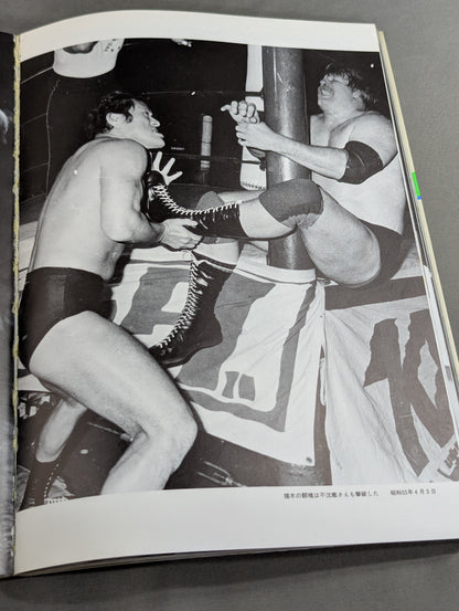 闘いのワンダーランド ワールドプロレスリングの15年