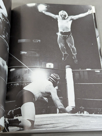 闘いのワンダーランド ワールドプロレスリングの15年