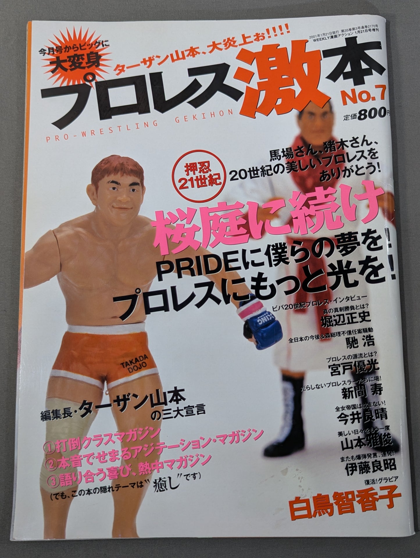 プロレス激本 No.7