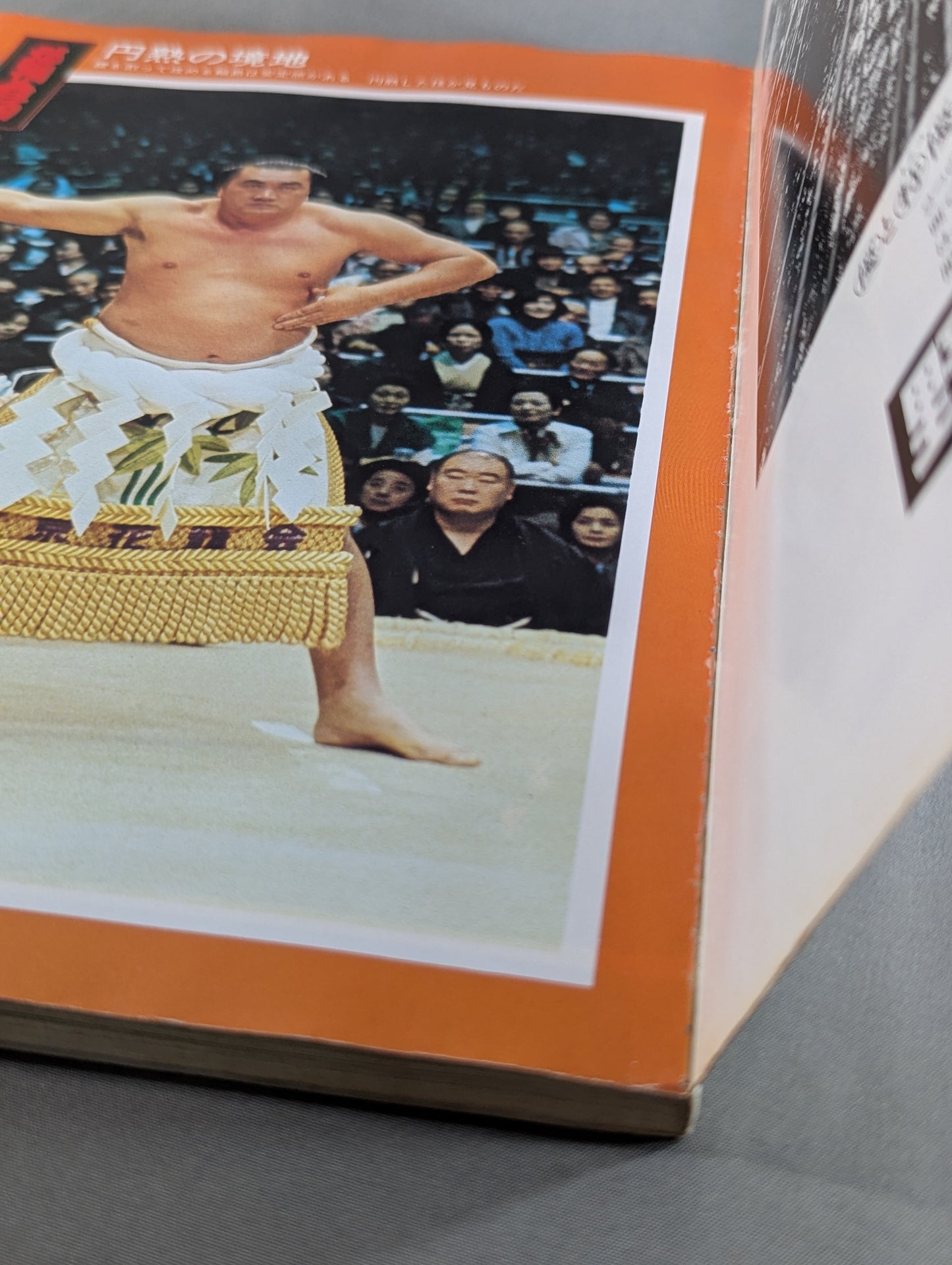 Grand Sumo photo pictorial: Hometown's famous Sumo wrestler
