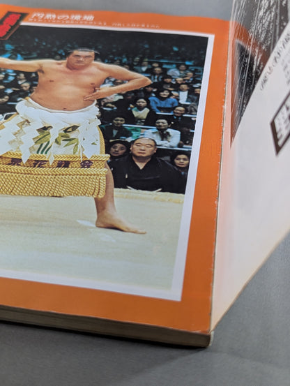Grand Sumo photo pictorial: Hometown's famous Sumo wrestler