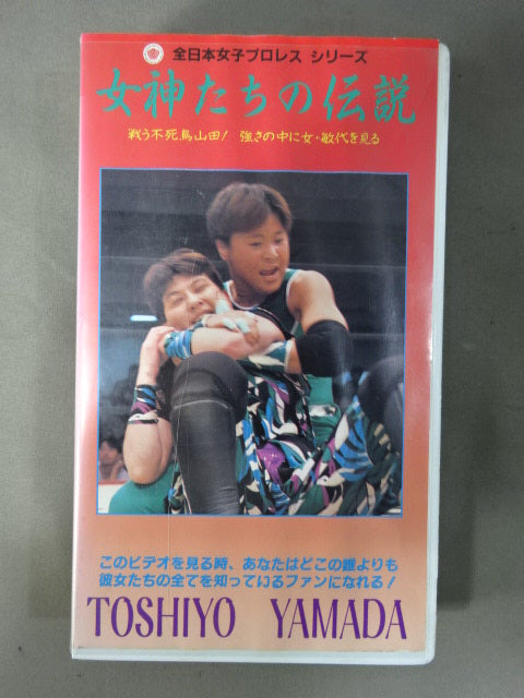 女神たちの伝説 Ⅷ 山田敏代