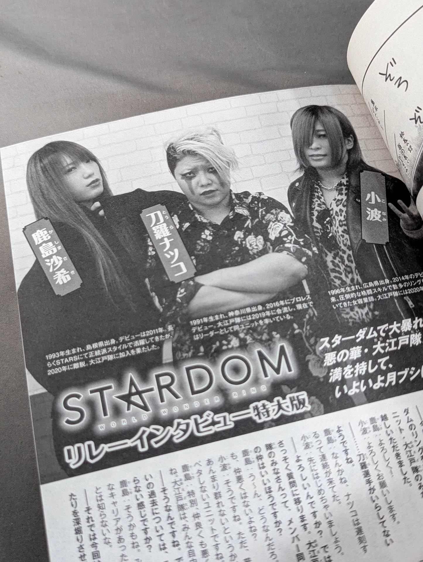 月刊ブシロード 2021年4月号